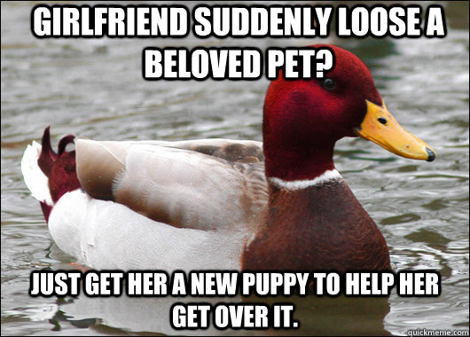 Girlfriend suddenly loose a beloved pet? Just get her a new puppy to help her get over it.  Malicious Advice Mallard