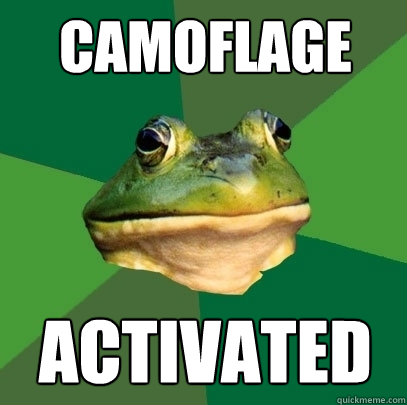 camoflage ACTIVATED  Foul Bachelor Frog