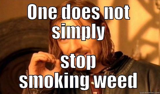 ONE DOES NOT SIMPLY STOP SMOKING WEED Boromir