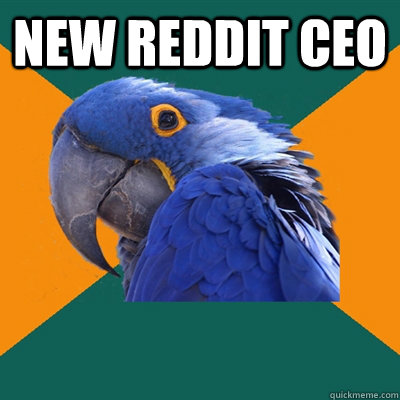 New reddit CEO   Paranoid Parrot