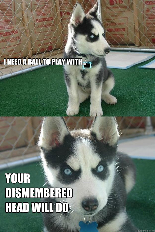 I need a ball to play with... Your dismembered head will do  Insanity puppy