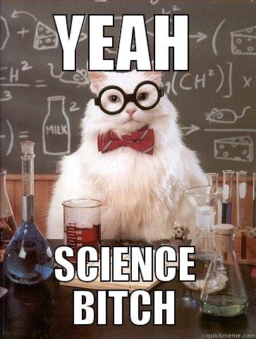 YEAH SCIENCE BITCH Chemistry Cat