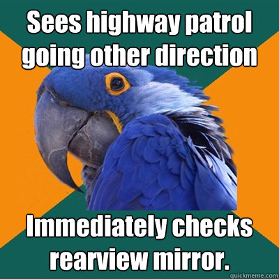 Sees highway patrol going other direction Immediately checks rearview mirror.  Paranoid Parrot