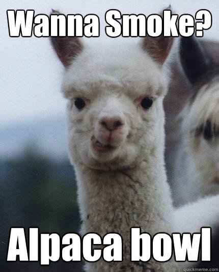 Wanna Smoke? Alpaca bowl  
