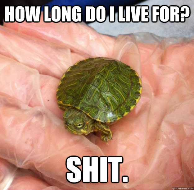 How long do I live for? Shit. - How long do I live for? Shit.  Misc