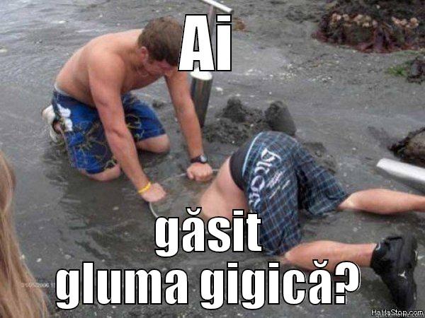AI GĂSIT GLUMA GIGICĂ? Misc
