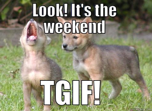 LOOK! IT'S THE WEEKEND TGIF!  Misc