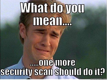 WHAT DO YOU MEAN.... .....ONE MORE SECURITY SCAN SHOULD DO IT? 1990s Problems