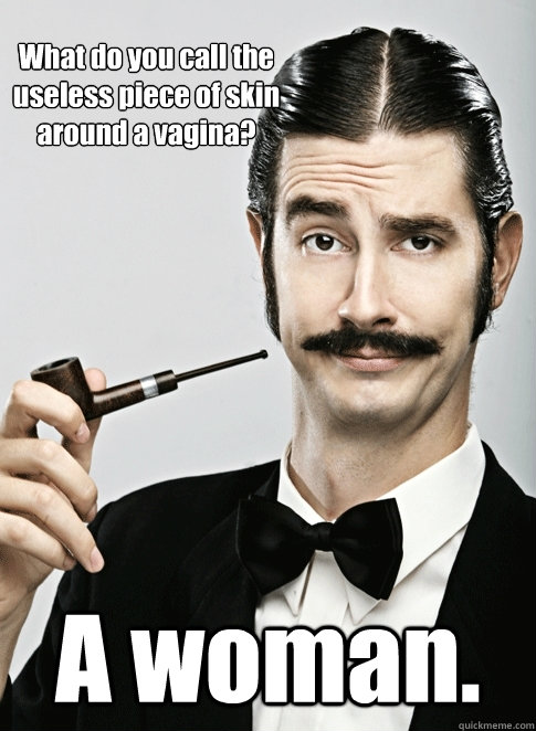 What do you call the useless piece of skin around a vagina? A woman.  Le Snob