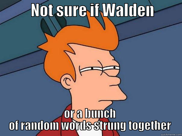           NOT SURE IF WALDEN          OR A BUNCH OF RANDOM WORDS STRUNG TOGETHER Futurama Fry