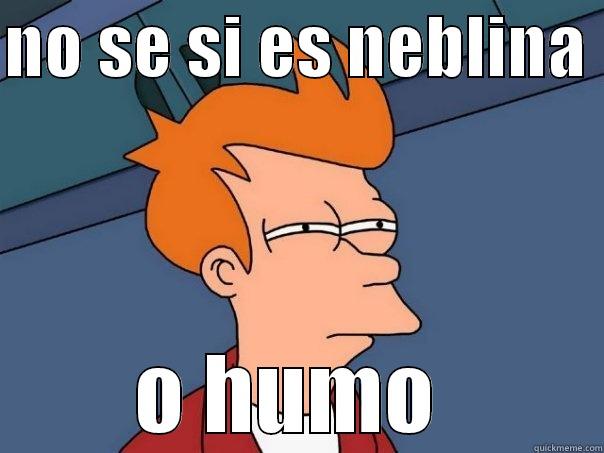 NO SE SI ES NEBLINA  O HUMO  Futurama Fry