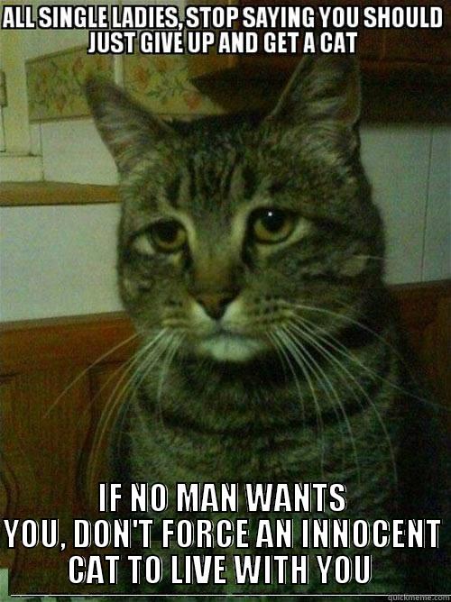  IF NO MAN WANTS YOU, DON'T FORCE AN INNOCENT CAT TO LIVE WITH YOU  Misc