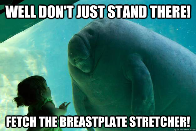 Well don't just stand there! Fetch the breastplate stretcher! - Well don't just stand there! Fetch the breastplate stretcher!  Overlord Manatee