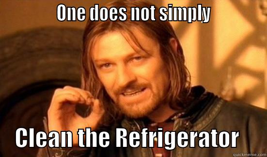              ONE DOES NOT SIMPLY                 CLEAN THE REFRIGERATOR      Boromir