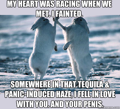 My heart was racing when we met. I fainted. Somewhere in that tequila & panic-induced haze, I fell in love with you. And your penis.  Bunny Bros