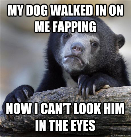My dog walked in on me fapping Now I can't look him in the eyes  Confession Bear