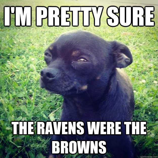 I'm pretty sure The Ravens were the Browns  Skeptical Dog