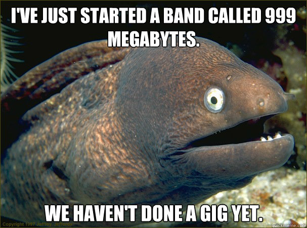 I've just started a band called 999 Megabytes. We haven't done a gig yet.  Bad Joke Eel