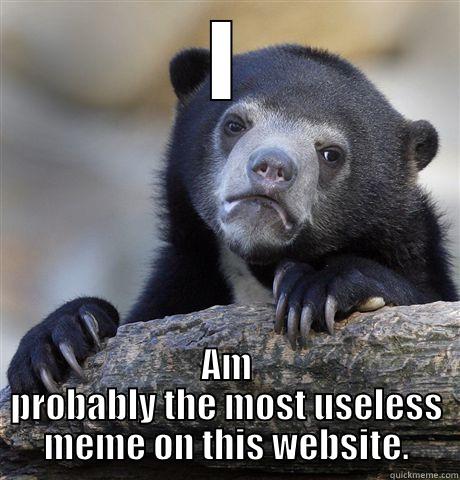 I AM PROBABLY THE MOST USELESS MEME ON THIS WEBSITE. Confession Bear