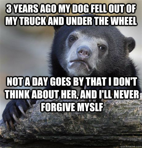 3 years ago my dog fell out of my truck and under the wheel not a day goes by that I don't think about her, and I'll never forgive myslf  Confession Bear