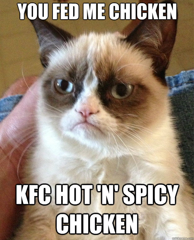 You fed me chicken kfc hot 'n' spicy chicken - You fed me chicken kfc hot 'n' spicy chicken  Grumpy Cat
