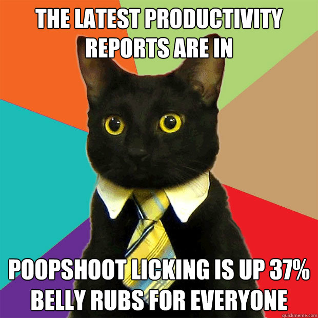 The latest productivity reports are in poopshoot licking is up 37% belly rubs for everyone  Business Cat