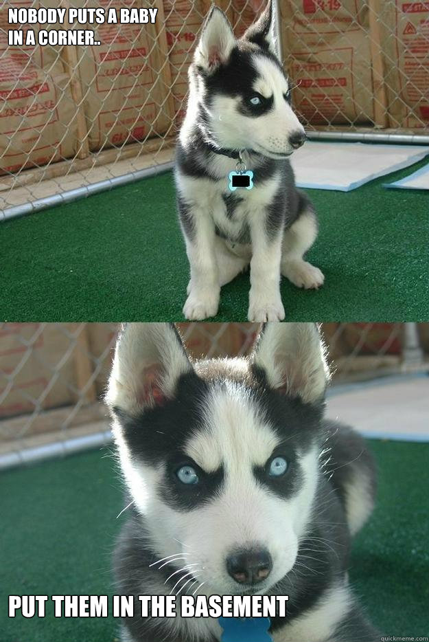 Nobody puts a baby
in a corner.. 


put them in the basement  Insanity puppy