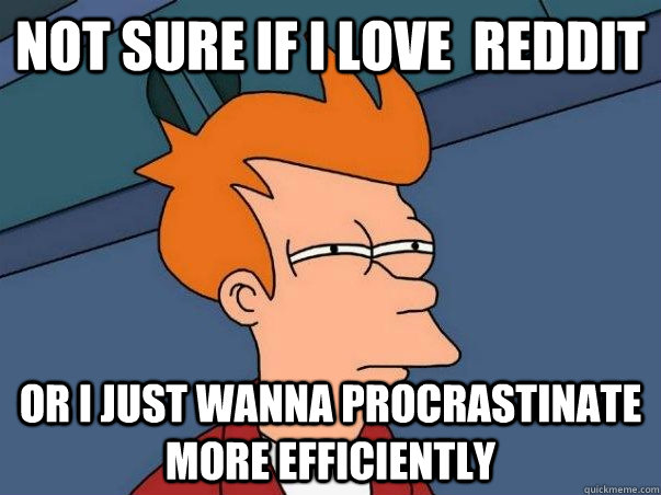 Not sure if I love  reddit Or I just wanna procrastinate more efficiently  Not sure Fry