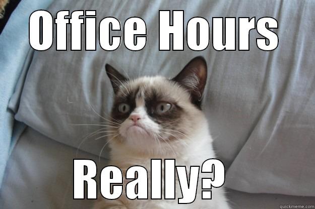 OFFICE HOURS REALLY?  Grumpy Cat