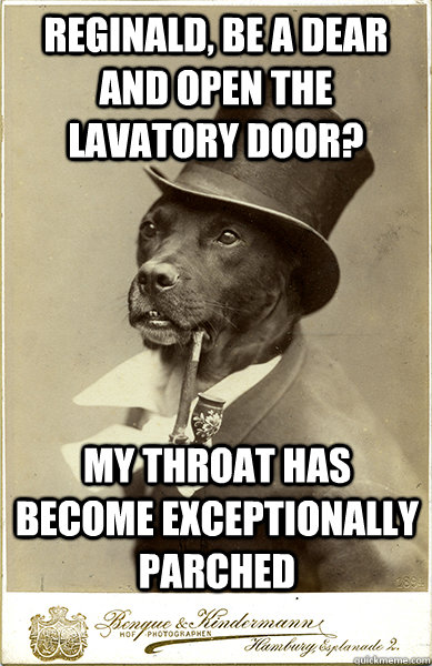 reginald, be a dear and open the lavatory door? my throat has become exceptionally parched  Old Money Dog