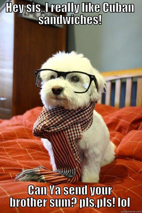 HEY SIS,,I REALLY LIKE CUBAN SANDWICHES! CAN YA SEND YOUR BROTHER SUM? PLS,PLS! LOL Hipster Dog