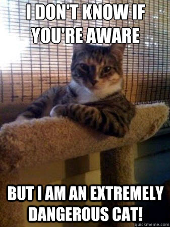 I Don't know if you're aware but i am an extremely dangerous cat!  The Most Interesting Cat in the World