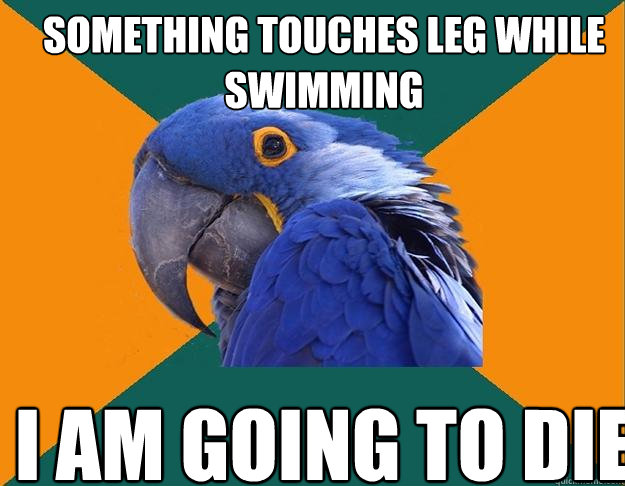Something touches leg while swimming I am going to die  Paranoid Parrot