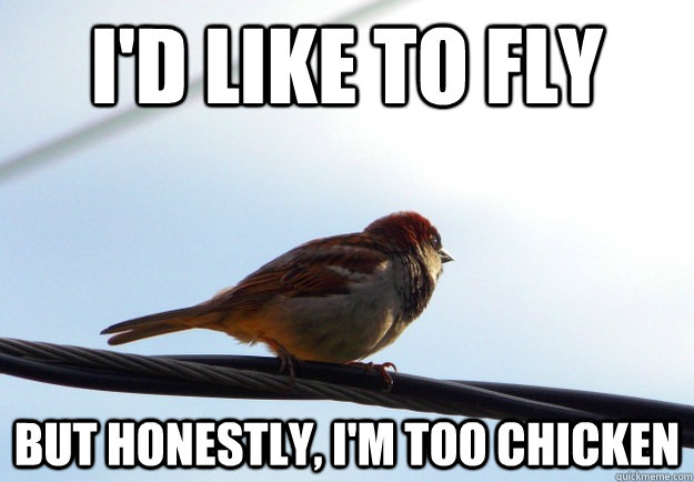 I'd like to fly But honestly, I'm too chicken  