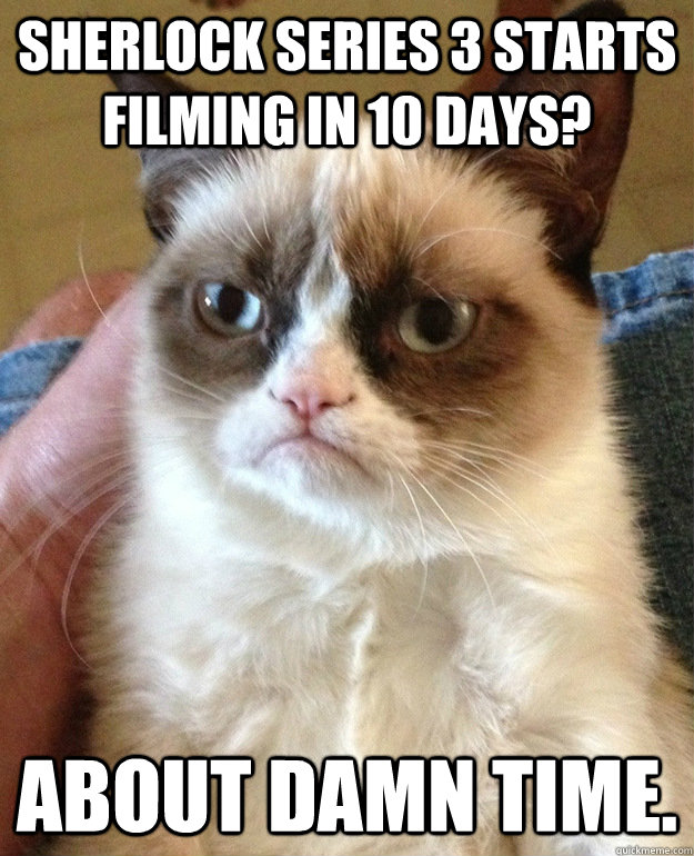 Sherlock Series 3 starts filming in 10 days? About damn time. - Sherlock Series 3 starts filming in 10 days? About damn time.  grumpycat