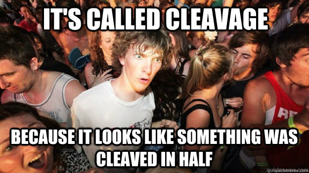It's called cleavage because it looks like something was cleaved in half  Sudden Clarity Clarence