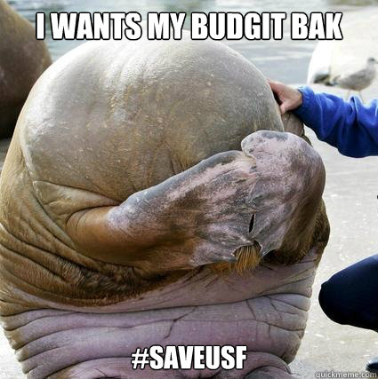 I Wants My Budgit Bak #SaveUSF  