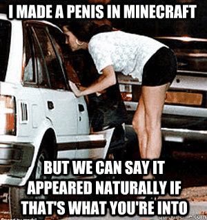 I made a penis in minecraft But we can say it appeared naturally if that's what you're into  Karma Whore