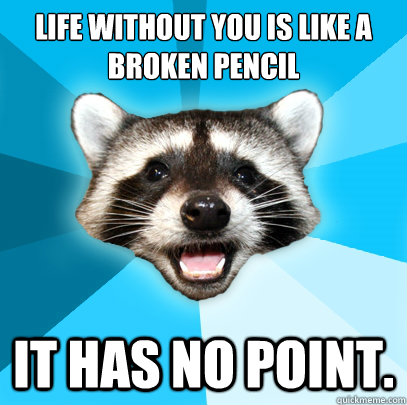 Life without you is like a broken pencil It has no point.  Lame Pun Coon