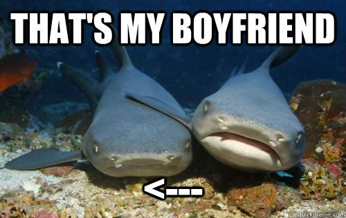 That's my boyfriend <---  Compassionate Shark Friend