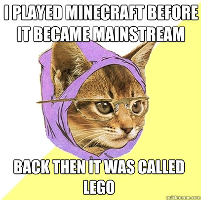 I played minecraft before it became mainstream back then it was called lego  Hipster Kitty