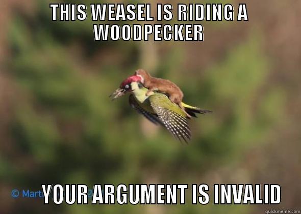 THIS WEASEL IS RIDING A WOODPECKER        YOUR ARGUMENT IS INVALID Misc
