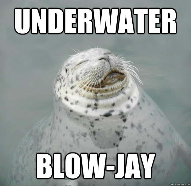 underwater blowjay Hedonism Seal quickmeme