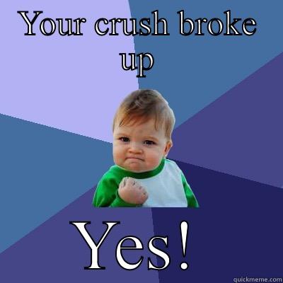 YOUR CRUSH BROKE UP YES! Success Kid