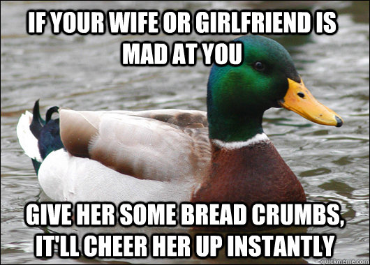 If your wife or girlfriend is mad at you give her some bread crumbs, it'll cheer her up instantly - If your wife or girlfriend is mad at you give her some bread crumbs, it'll cheer her up instantly  Actual Advice Mallard