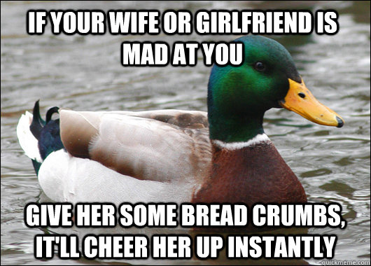 If your wife or girlfriend is mad at you give her some bread crumbs, it'll cheer her up instantly  Actual Advice Mallard