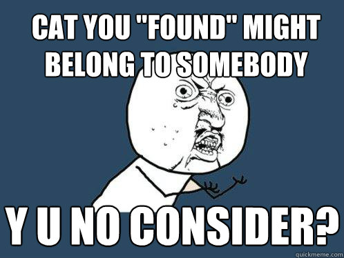 Cat you 