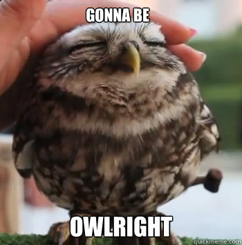 gonna be  owlright - gonna be  owlright  cute owl