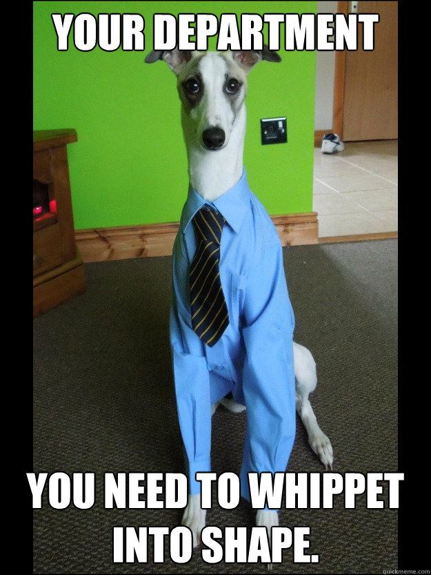Your department You need to whippet into shape.  Business Whippet