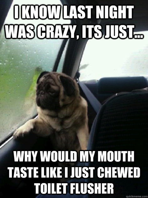 i know last night was crazy, its just... why would my mouth taste like i just chewed toilet flusher  Introspective Pug